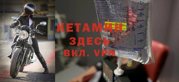 ГАЛЛЮЦИНОГЕННЫЕ ГРИБЫ Дмитриев