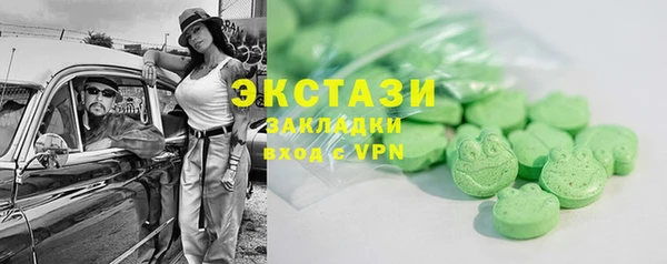 ГАЛЛЮЦИНОГЕННЫЕ ГРИБЫ Дмитриев