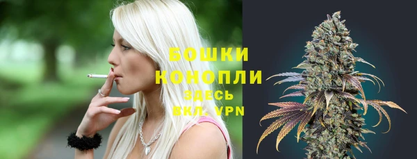 ГАЛЛЮЦИНОГЕННЫЕ ГРИБЫ Дмитриев