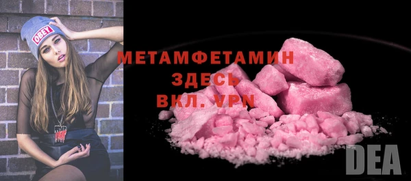 ГАЛЛЮЦИНОГЕННЫЕ ГРИБЫ Дмитриев