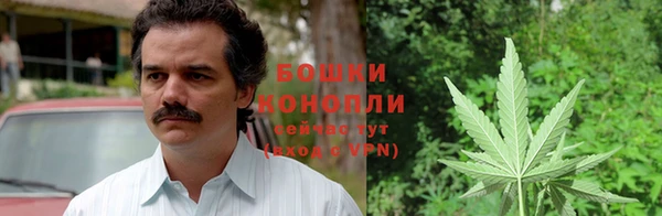 ГАЛЛЮЦИНОГЕННЫЕ ГРИБЫ Дмитриев