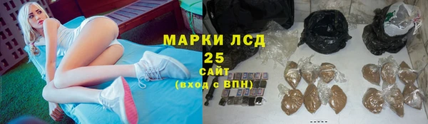 ГАЛЛЮЦИНОГЕННЫЕ ГРИБЫ Дмитриев