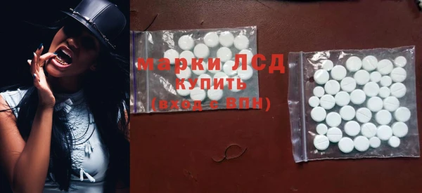 ГАЛЛЮЦИНОГЕННЫЕ ГРИБЫ Дмитриев