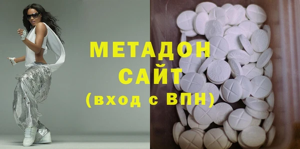 ГАЛЛЮЦИНОГЕННЫЕ ГРИБЫ Дмитриев