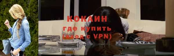 ГАЛЛЮЦИНОГЕННЫЕ ГРИБЫ Дмитриев