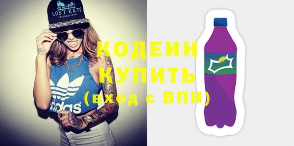 ГАЛЛЮЦИНОГЕННЫЕ ГРИБЫ Дмитриев
