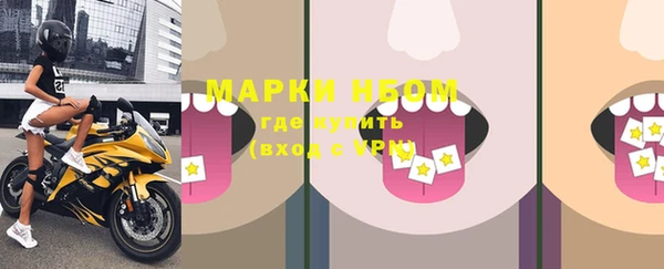 тгк Дмитровск