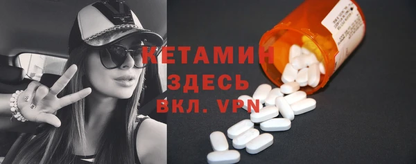 ГАЛЛЮЦИНОГЕННЫЕ ГРИБЫ Дмитриев