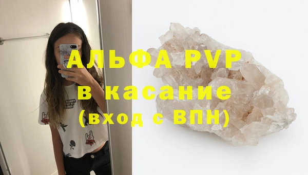 ГАЛЛЮЦИНОГЕННЫЕ ГРИБЫ Дмитриев