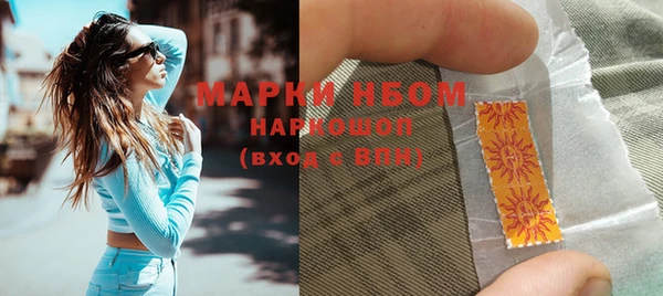 ГАЛЛЮЦИНОГЕННЫЕ ГРИБЫ Дмитриев