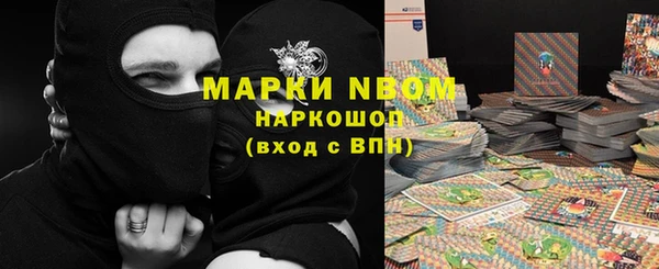 ГАЛЛЮЦИНОГЕННЫЕ ГРИБЫ Дмитриев