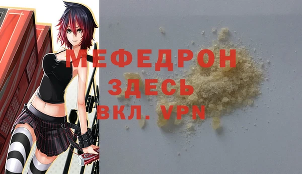 ГАЛЛЮЦИНОГЕННЫЕ ГРИБЫ Дмитриев