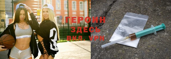ГАЛЛЮЦИНОГЕННЫЕ ГРИБЫ Дмитриев