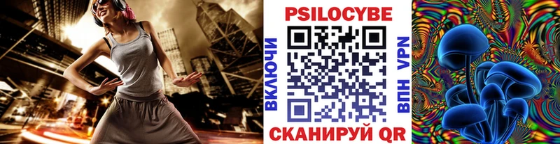 Купить где Порхов Псилоцибиновые грибы GOLDEN TEACHER