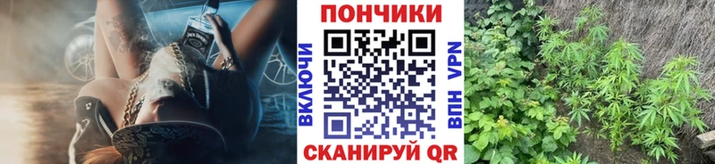 Купить где  Порхов  Канабис план 